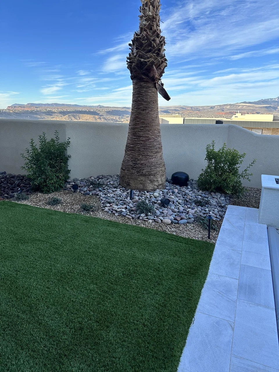 Palm tree and rock planting bed beside a lawn and boundary wall