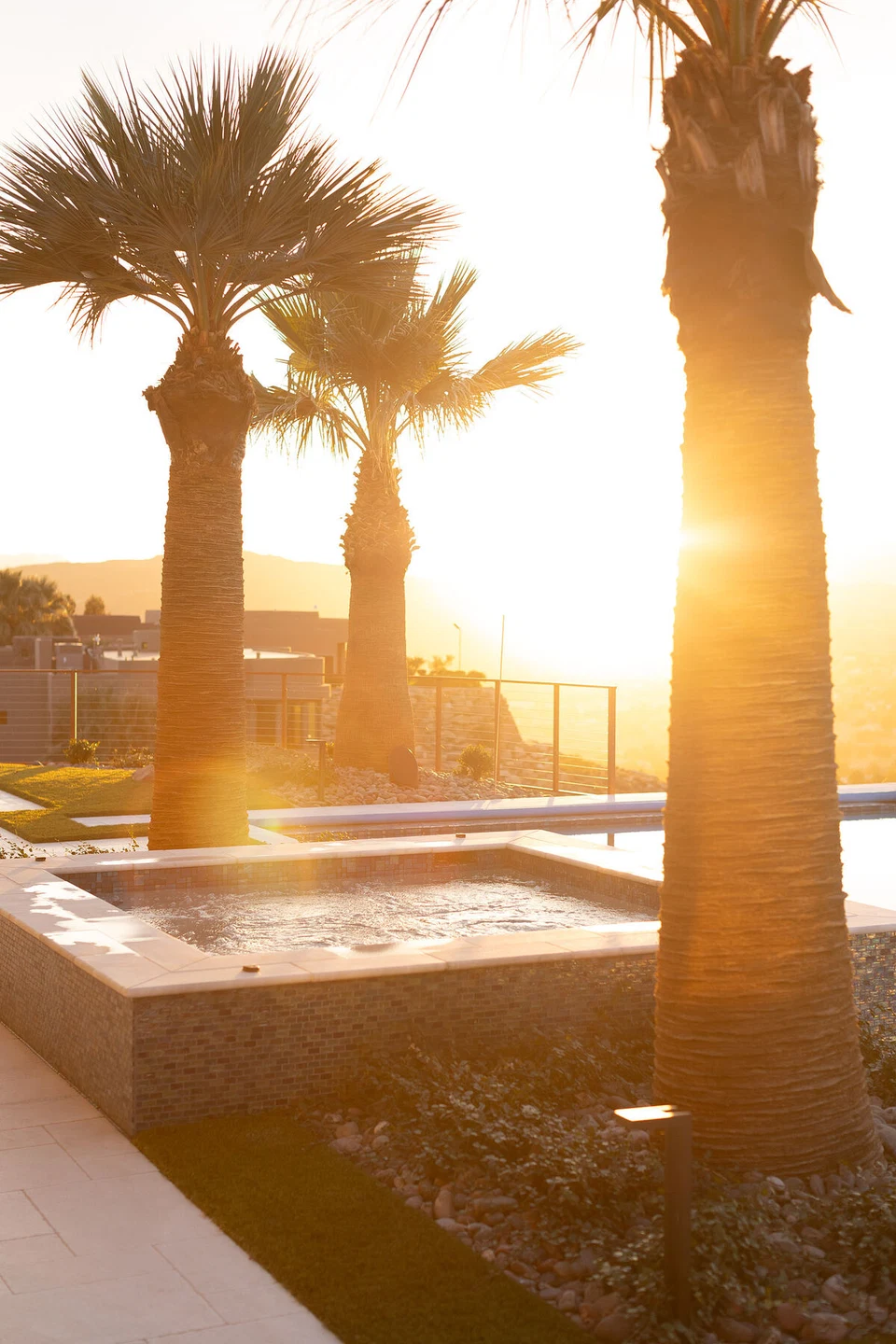 Sunlight shining between palm trees beside the raised spa
