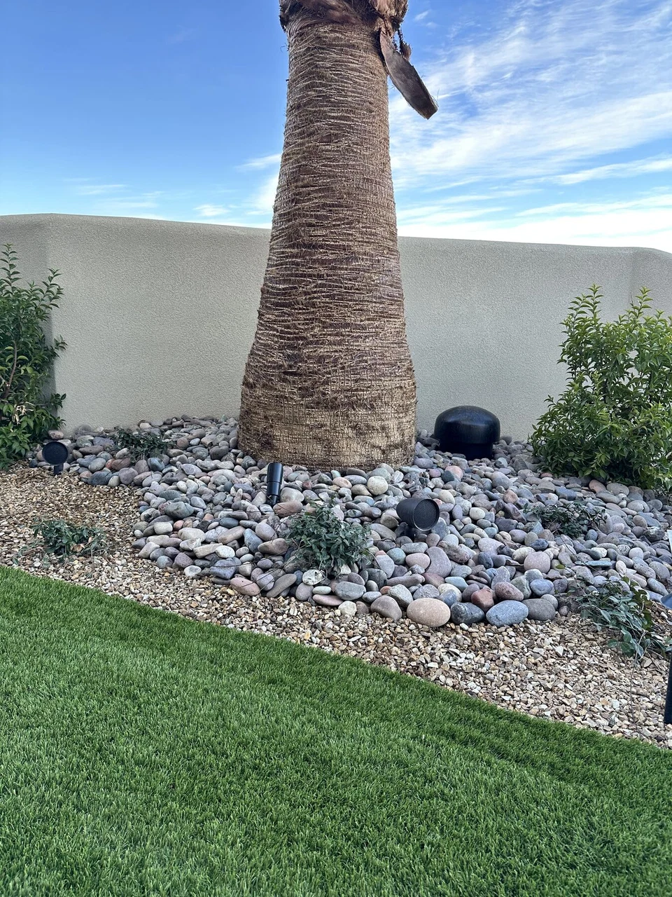 Small landscape speaker among rocks at the base of a palm tree