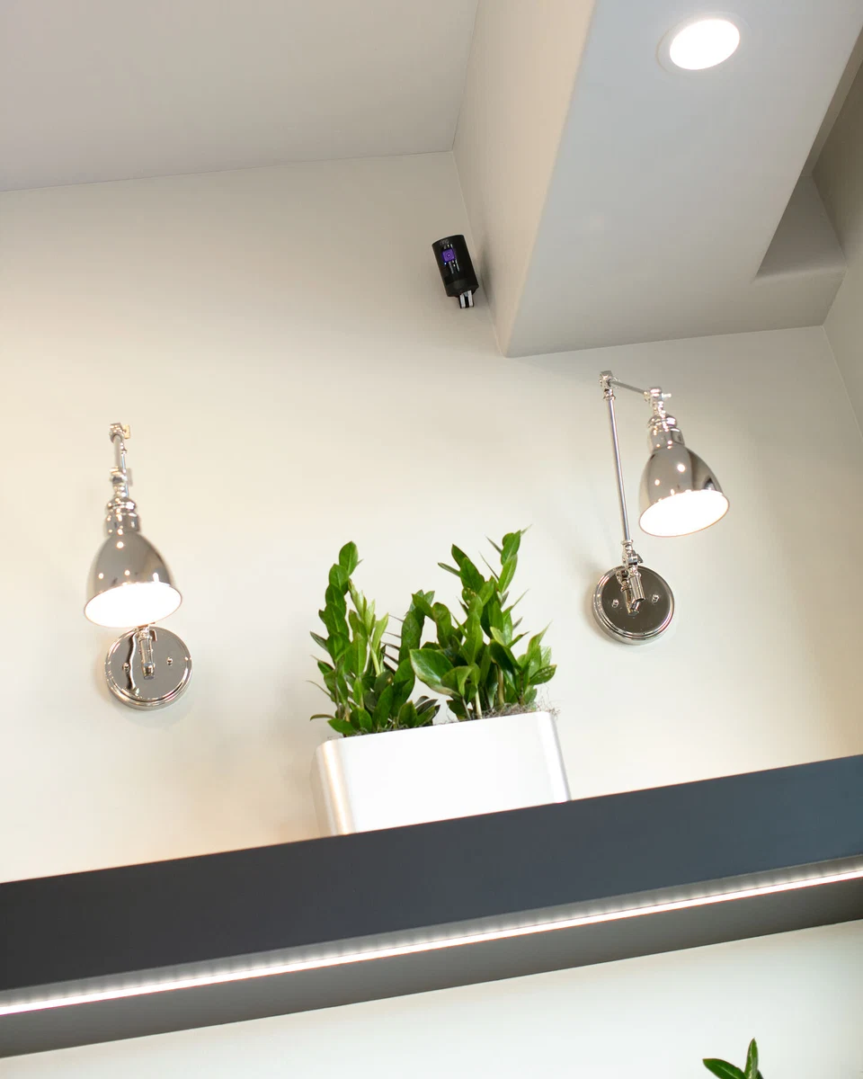 Pendant lights above a planter on a high interior ledge