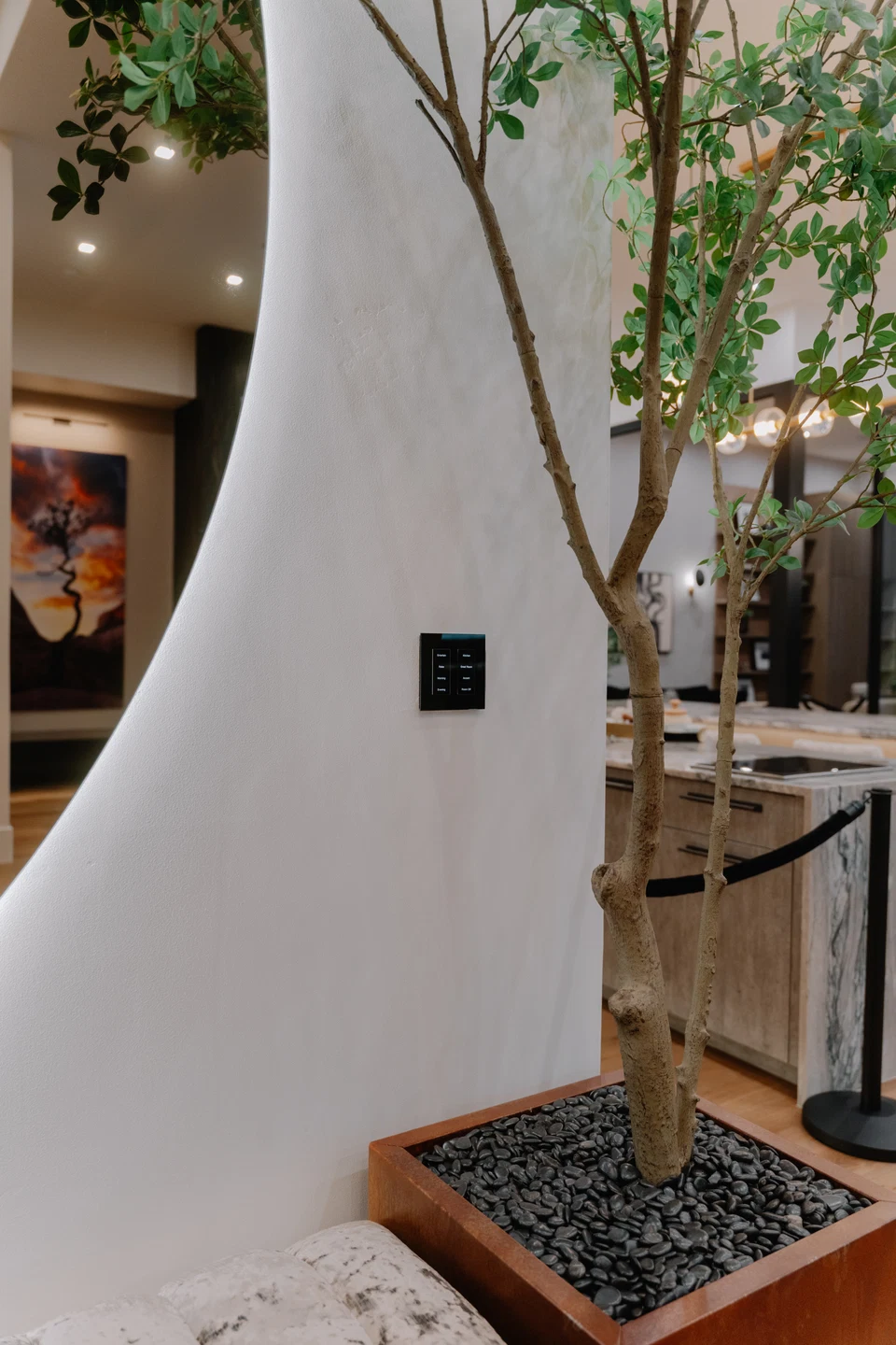 Black wall keypad beside an indoor tree and curved illuminated mirror